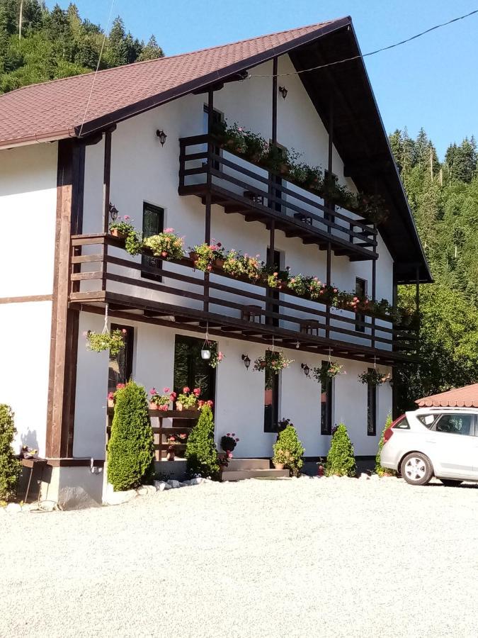 Casa Ursului Vadu Motilor Exterior foto