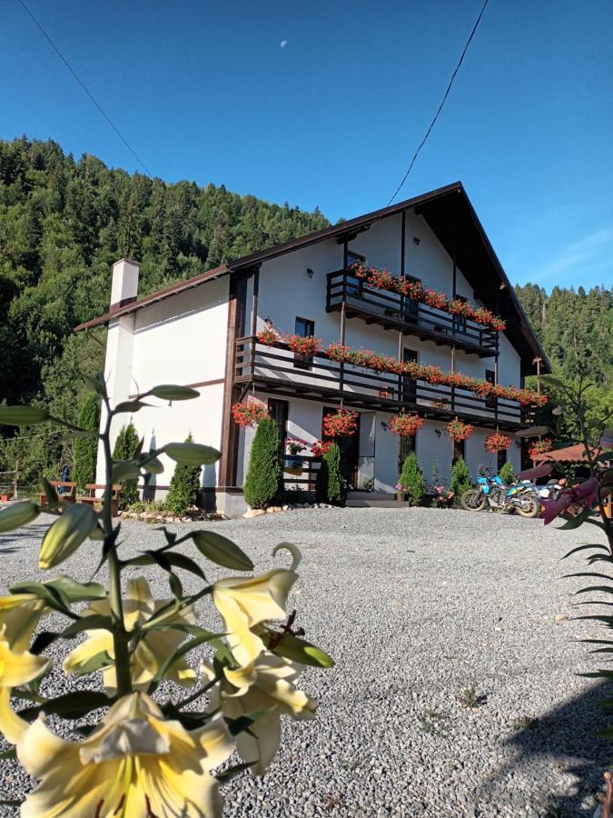 Casa Ursului Vadu Motilor Exterior foto
